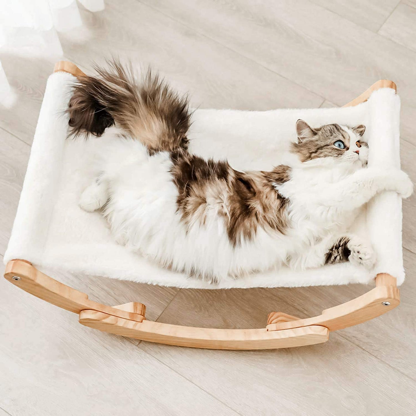 Cat Hammock