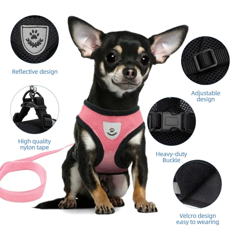 Adjustable Mesh Cat Harness Vest with Leash - Perfect for Small to Medium Dogs and Cats!