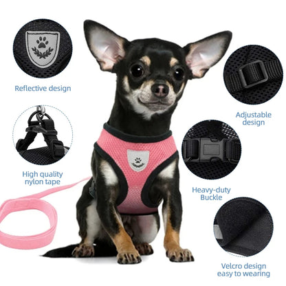 Adjustable Mesh Cat Harness Vest with Leash - Perfect for Small to Medium Dogs and Cats!