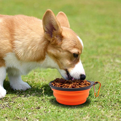 Portable Collapsible Dog Bowls (2 Pack) 