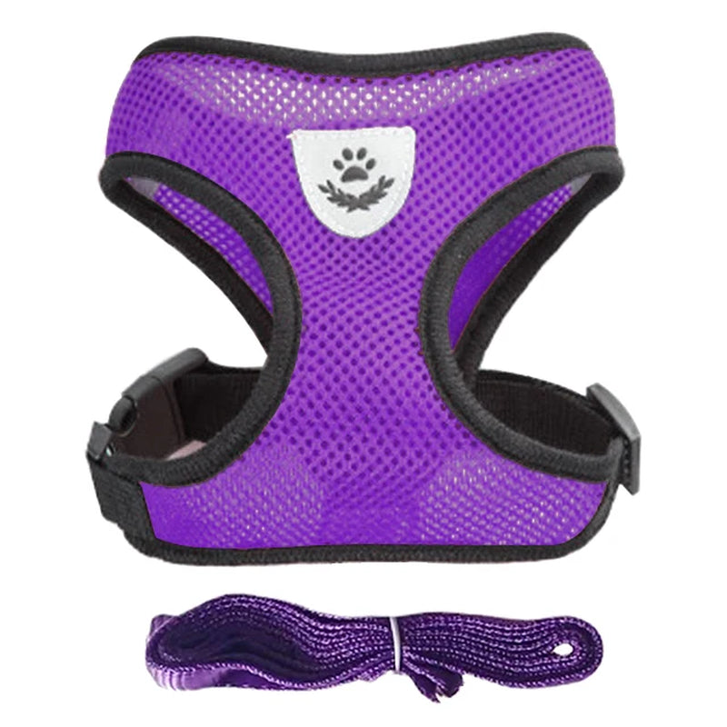 Adjustable Mesh Cat Harness Vest with Leash - Perfect for Small to Medium Dogs and Cats!