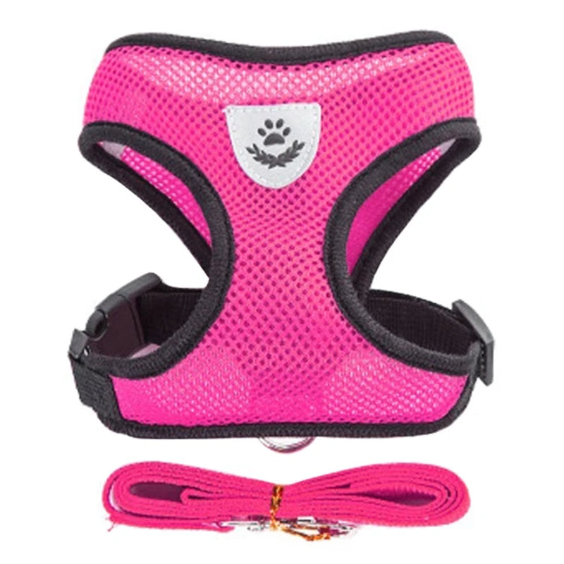 Adjustable Mesh Cat Harness Vest with Leash - Perfect for Small to Medium Dogs and Cats!