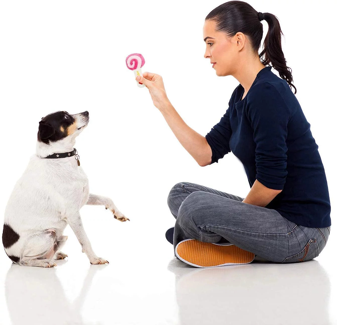 14 Pack Dog Squeaky Toys 