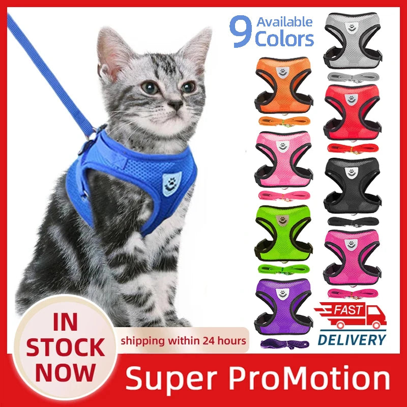 Adjustable Mesh Cat Harness Vest with Leash - Perfect for Small to Medium Dogs and Cats!