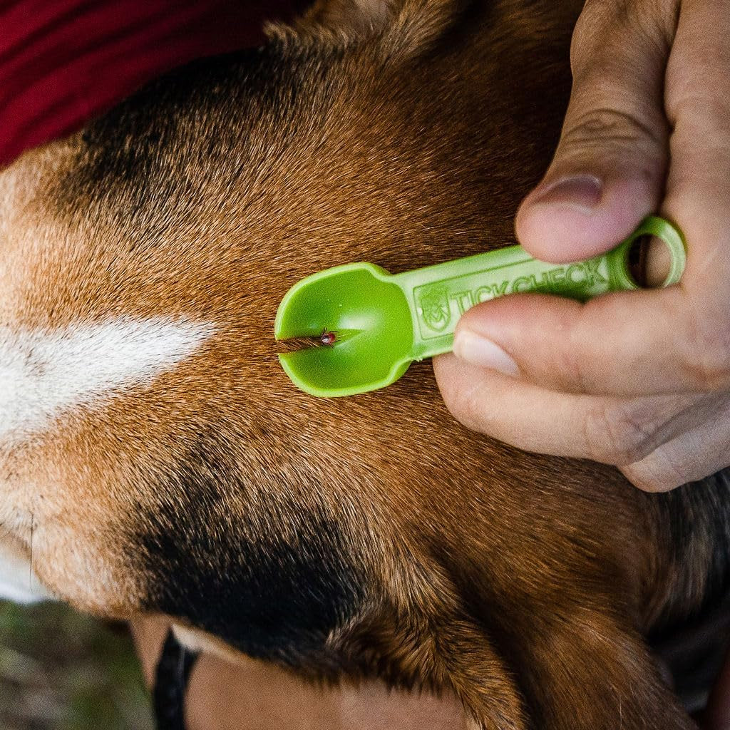 Tick Remover Spoon 