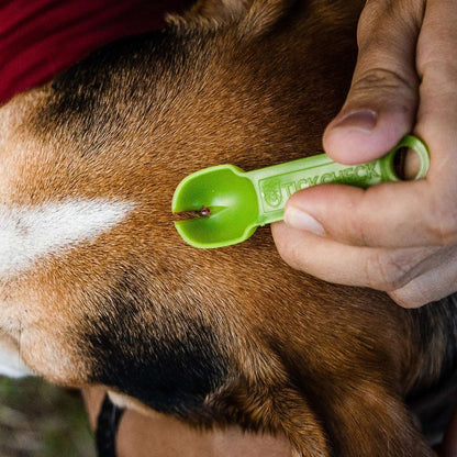 Tick Remover Spoon 