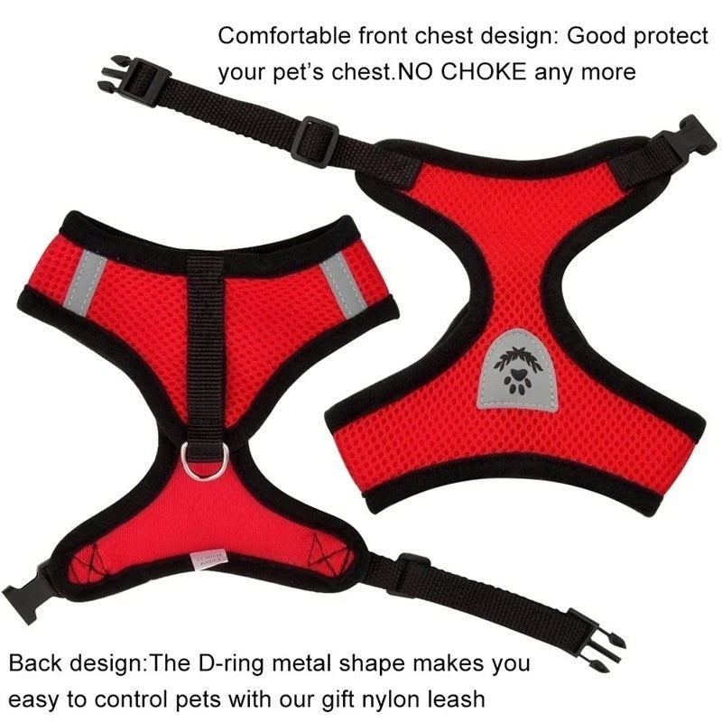 Adjustable Mesh Cat Harness Vest with Leash - Perfect for Small to Medium Dogs and Cats!