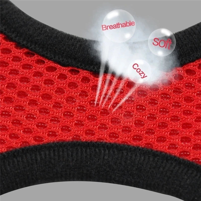 Adjustable Mesh Cat Harness Vest with Leash - Perfect for Small to Medium Dogs and Cats!