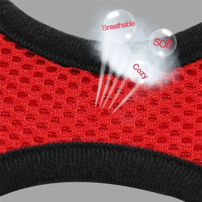 Adjustable Mesh Cat Harness Vest with Leash - Perfect for Small to Medium Dogs and Cats!