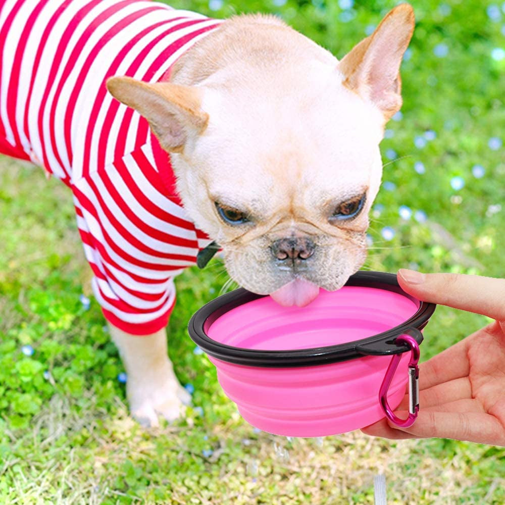 Portable Collapsible Dog Bowls (2 Pack) 