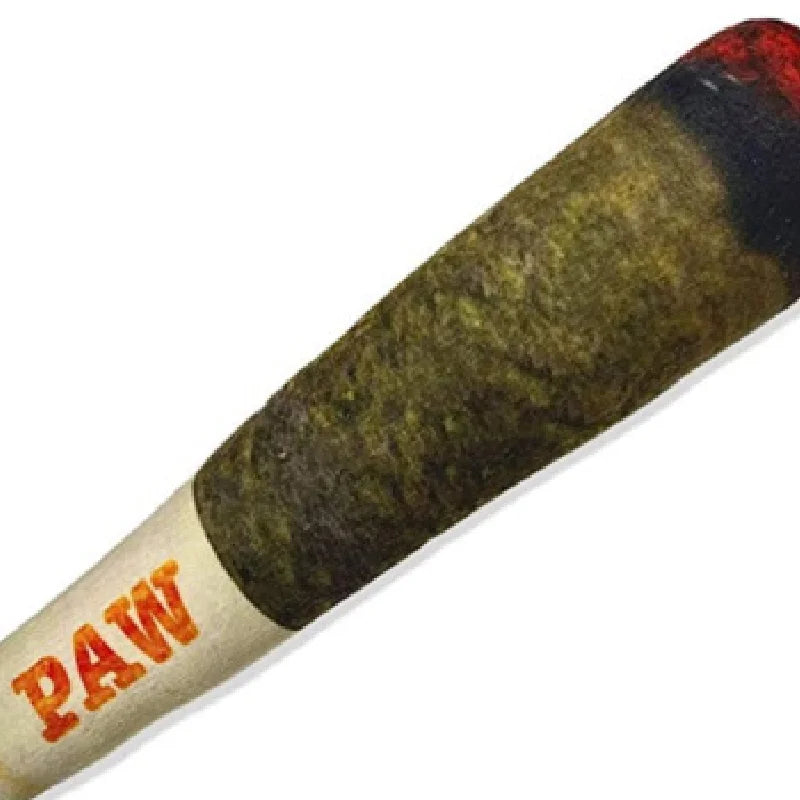 Indestructible Plush Cigar Dog Toy - Interactive Squeaky Chewing Fun for Small Dogs!