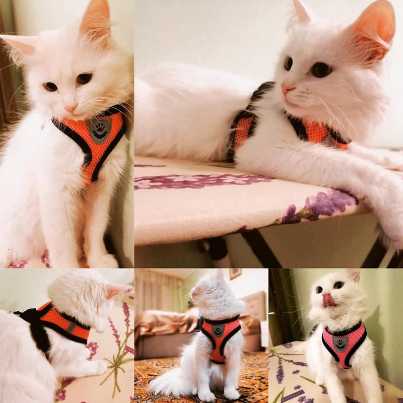 Adjustable Mesh Cat Harness Vest with Leash - Perfect for Small to Medium Dogs and Cats!