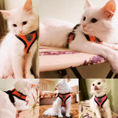 Adjustable Mesh Cat Harness Vest with Leash - Perfect for Small to Medium Dogs and Cats!